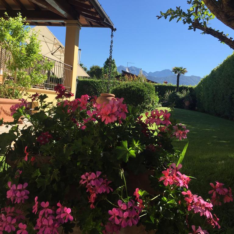 Relais Di Alice- Adults Only Bed and Breakfast Φόρτε ντε Μάρμι Εξωτερικό φωτογραφία